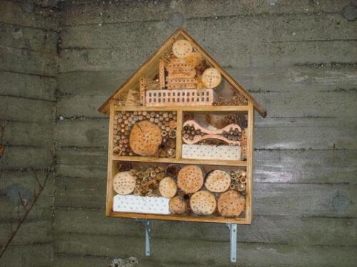 00 - Kurs: Bau eines Bienenhauses